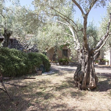 Villa Es Coco, Soller Puerto de Sóller Eksteriør bilde