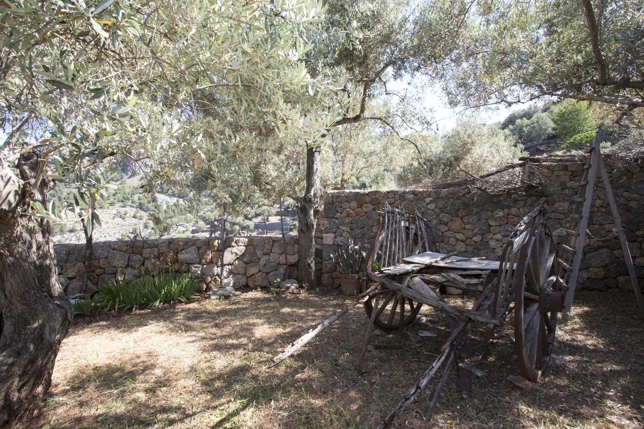 Villa Es Coco, Soller Puerto de Sóller Eksteriør bilde
