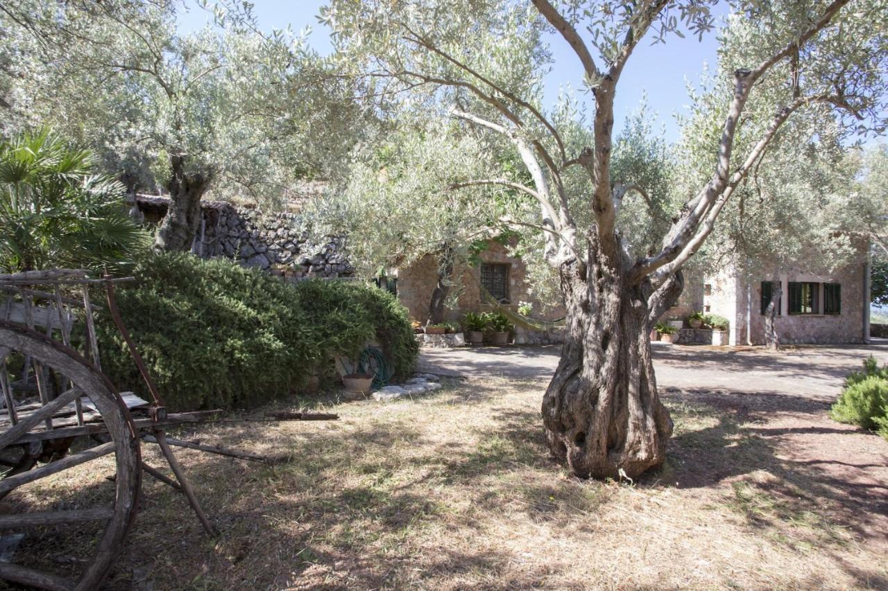 Villa Es Coco, Soller Puerto de Sóller Eksteriør bilde
