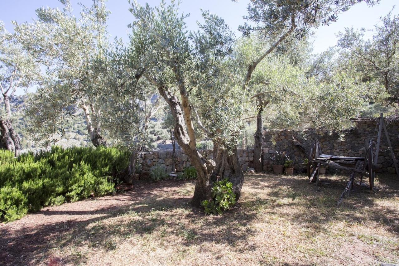 Villa Es Coco, Soller Puerto de Sóller Eksteriør bilde