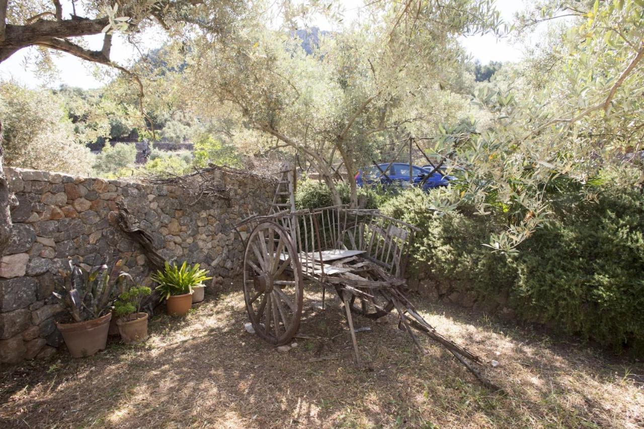Villa Es Coco, Soller Puerto de Sóller Eksteriør bilde