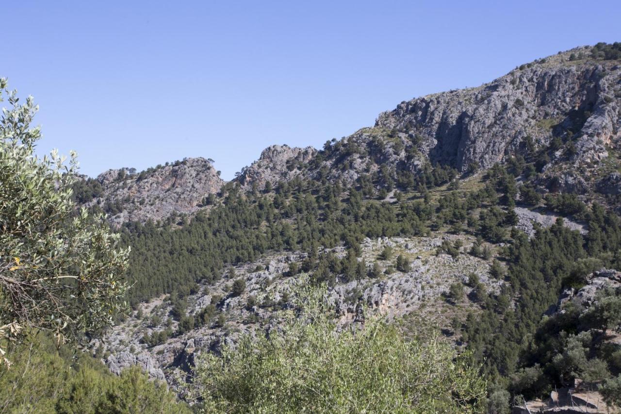Villa Es Coco, Soller Puerto de Sóller Eksteriør bilde